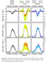 From half-hour to quarter century- Drivers of carbon fluxes across a northern ecosystem tower cluster