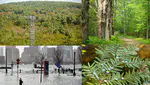 Multidecadal evapotranspiration measurements in a temperate forest demonstrate a sustained impact of warmer winters and a transient effect of chronic biotic disturbance